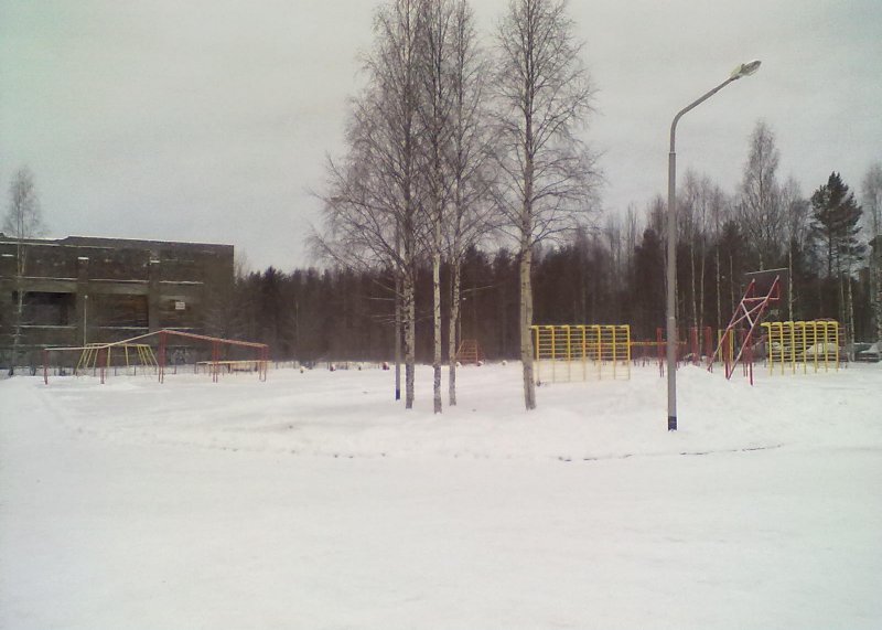 Площадка для воркаута в городе Костомукша №1969 Большая Советская фото