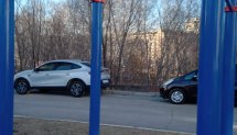 Площадка для воркаута в городе Омск №12349 Большая Хомуты фото