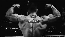 VG & STIPKE [Motivation]