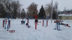 Площадка для воркаута в городе Чехов №9364 Маленькая Хомуты фото