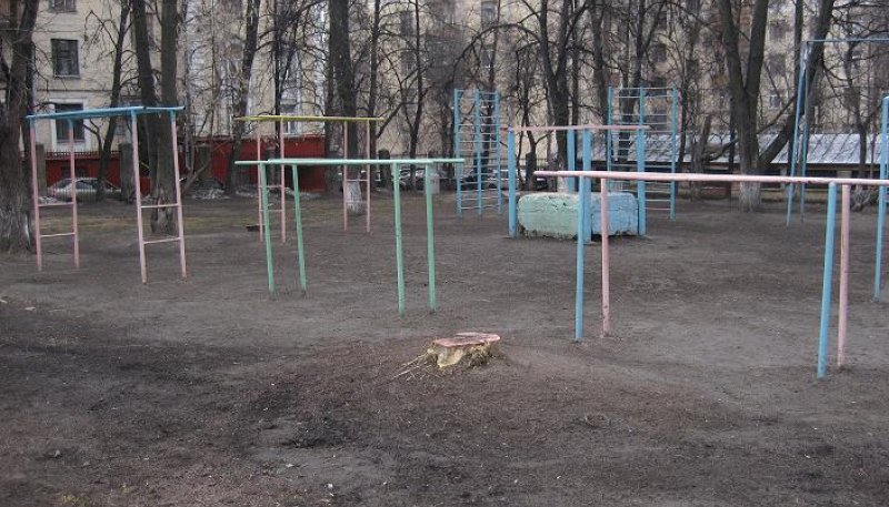 Площадка для воркаута в городе Москва №80 Средняя Советская фото