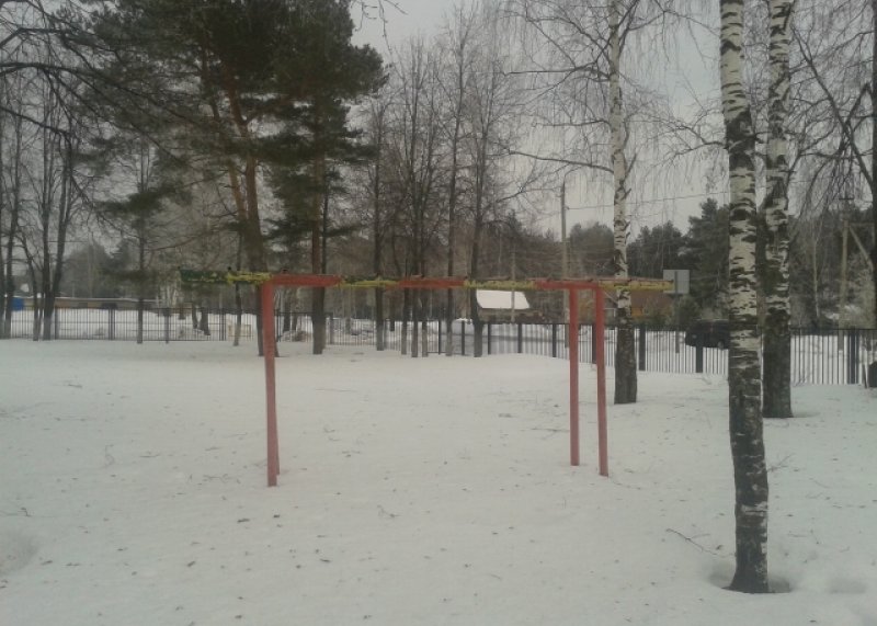 Площадка для воркаута в городе Егорьевск №4859 Средняя Советская фото