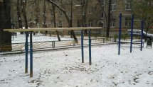 Площадка для воркаута в городе Москва №5950 Маленькая Советская фото