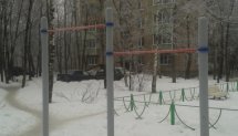 Площадка для воркаута в городе Егорьевск №4861 Маленькая Хомуты фото