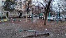 Площадка для воркаута в городе Бишкек №8279 Маленькая Советская фото
