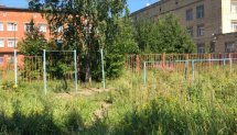 Площадка для воркаута в городе Петрозаводск №8800 Маленькая Советская фото