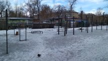 Площадка для воркаута в городе Челябинск №9485 Средняя Современная фото