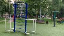 Площадка для воркаута в городе Москва №9789 Маленькая Хомуты фото