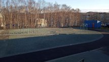 Площадка для воркаута в городе Петропавловск-Камчатский №10314 Маленькая Советская фото