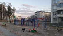 Площадка для воркаута в городе Ангарск №10329 Маленькая Современная фото