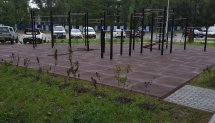 Площадка для воркаута в городе Зеленоградск №10899 Большая Хомуты фото