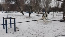 Площадка для воркаута в городе Луганск №12273 Средняя Современная фото