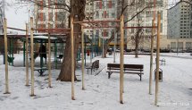 Площадка для воркаута в городе Москва №12958 Средняя Современная фото