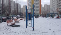 Площадка для воркаута в городе Химки №13046 Средняя Хомуты фото