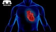 Кардиохирург о причинах сердечно-сосудистых заболеваний