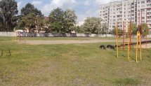 Площадка для воркаута в городе Брест №1837 Маленькая Советская фото