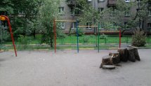 Площадка для воркаута в городе Москва №1165 Маленькая Советская фото