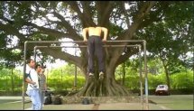 Handstands, Levers and Muscle Ups 2012