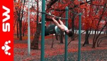 Tucked Back Lever to Semi-Tucked Back Lever Transitions  Street Workout #shorts