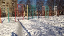 Площадка для воркаута в городе Владивосток №4797 Большая Советская фото