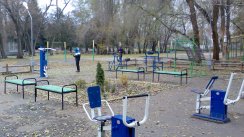 Площадка для воркаута в городе Саратов №4583 Средняя Советская фото