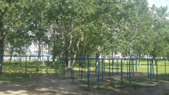 Площадка для воркаута в городе Санкт-Петербург №3203 Большая Советская фото