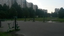Площадка для воркаута в городе Санкт-Петербург №3933 Средняя Советская фото