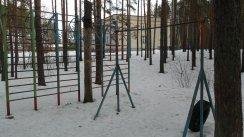 Открытая тренировка Workout - Ski race Нижний Новгород (Нижний Новгород)