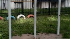 Площадка для воркаута в городе Рязань №6799 Маленькая Современная фото