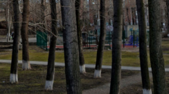 Площадка для воркаута в городе Екатеринбург №7157 Средняя Современная фото