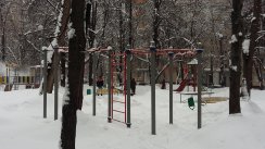 Площадка для воркаута в городе Москва №8173 Маленькая Хомуты фото