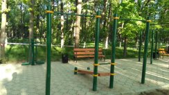 Площадка для воркаута в городе Бишкек №8428 Средняя Хомуты фото