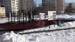 Площадка для воркаута в городе Челябинск №8240 Средняя Современная фото