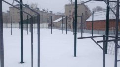 Площадка для воркаута в городе Барнаул №9184 Средняя Современная фото
