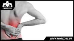 Общий комплекс упражнений для мышц спины при остеохондрозе