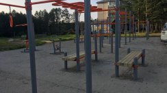 Площадка для воркаута в городе Саянск №9987 Средняя Современная фото