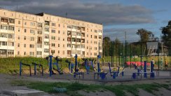 Площадка для воркаута в городе Александровск №10052 Маленькая Хомуты фото