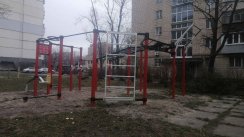 Площадка для воркаута в городе Киев №10572 Средняя Хомуты фото