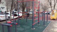 Площадка для воркаута в городе Алматы №11294 Маленькая Хомуты фото