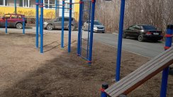 Площадка для воркаута в городе Омск №12349 Большая Хомуты фото