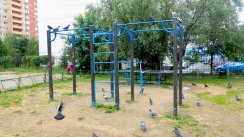 Площадка для воркаута в городе Сергиев Посад №12503 Маленькая Современная фото