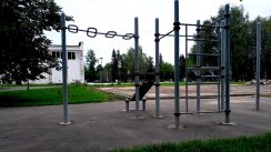 Площадка для воркаута в городе Сергиев Посад №12609 Средняя Хомуты фото