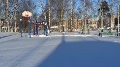 Площадка для воркаута в городе Подпорожье №12734 Маленькая Советская фото