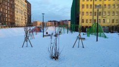 Площадка для воркаута в городе Санкт-Петербург №12750 Средняя Хомуты фото