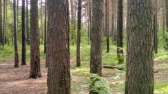 Площадка для воркаута в городе Северск №12940 Маленькая Советская фото