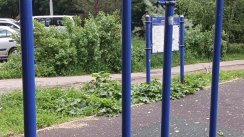 Площадка для воркаута в городе Москва №13152 Маленькая Советская фото