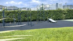 Площадка для воркаута в городе Сочи №10266 Большая Хомуты фото