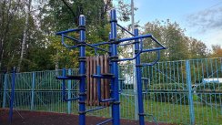 Площадка для воркаута в городе Зеленоград №13216 Маленькая Хомуты фото