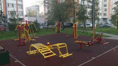 Площадка для воркаута в городе Москва №4451 Маленькая Хомуты фото