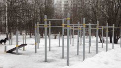 Площадка для воркаута в городе Москва №4999 Средняя Хомуты фото